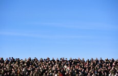 Poll: Will you have a flutter on the action at Cheltenham this week?