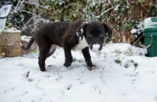 Frost to clear as rain and sleet hit Ulster and Connacht