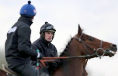 Cheltenham festival given go-ahead following inspection