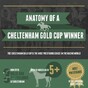 Infographic: How to pick a Cheltenham Gold Cup winner this week...