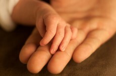 Newborn blood samples due for destruction 'could save lives'