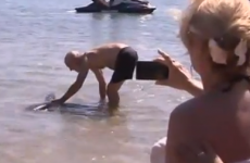 Man tackles shark on the beach... then gets the sack