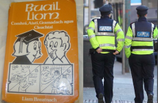 What Irish phrases will Gardaí need to learn?