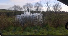 Look what a burst pipe did to this Monaghan hedge