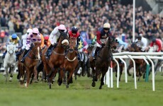 Thursday at Cheltenham: 5 things to say when the office chat turns to racing today