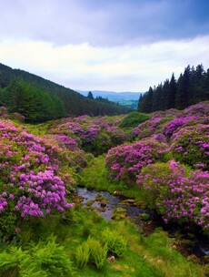 11 more amazing places to visit... if we could put a roof on Ireland
