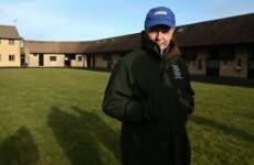 Two horses killed in suspected electrocution at Newbury