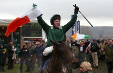 Trinity students go absolutely mental as Salsify claims thrilling Foxhunter finish