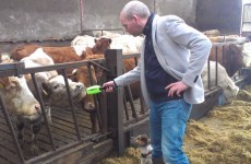 The Manure Matrix in Fermanagh - is this the best fundraiser of 2013?