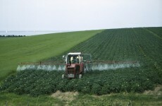 Agreement reached on CAP reform