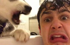 Twitter is 7... here's why we love and loathe it