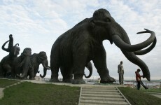 Scientists want to bring 22 animals back from extinction