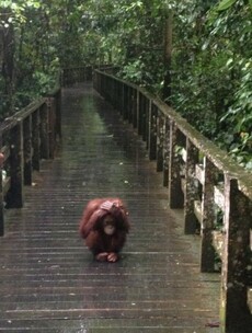 Looks Like Rain Ted Pic of the Day