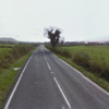 Viable explosive device in Fermanagh car 'destined for police station'