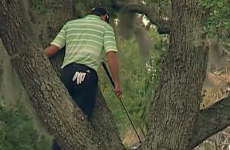 VIDEO: Sergio Garcia climbed a tree and hit a 1-handed shot today
