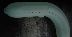 WTF Item You Didn't Know You Could Buy Online Pic of the Day