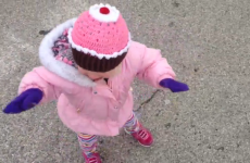 Evil genius toddler sabotages walking the dog