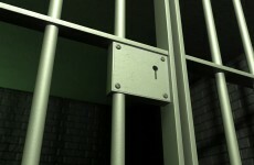 Committee calls on government to reduce prisoner numbers by one-third