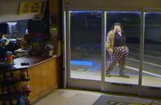 Is this the world's funniest burglary suspect?