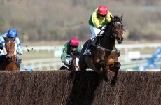 De Bromhead Sizing up Queen Mother Champion Chase