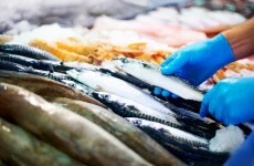 Supermarket chain expects fish sales to double this week