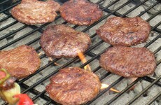 Horsemeat scandal: Dept refuses to release over 200 pages of emails with FSAI