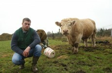 A tip of the hat to the greatest farmers in Irish sport