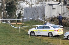 Body of young man discovered in Dublin field
