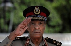 Egypt's new military leader 'was against reform' say Wikileaks cables