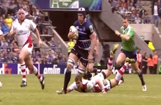 VIDEO: Wasps get in the mood for Challenge Cup 1/4s by paying homage to Leinster