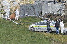 Body of man found in Dublin field identified
