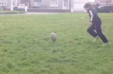 Irish lad shows off his rugby skills for All Blacks in impressive new video