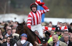 No Cheltenham return Forpady this year