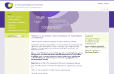 Public jobs regulator's website accidentally promotes 'sexy girls lingerie' store