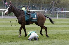 Poll: Is the Aintree Grand National cruel?