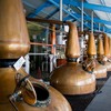 VIDEO: Scottish scientists turn whiskey waste into fuel