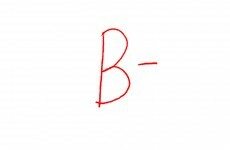 Ireland got a ‘B’ grade for its last European presidency