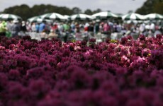 Having a US Masters flutter? Here's 8 outside bets for Augusta