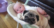 19 sets of best friends that will melt even the darkest heart
