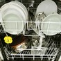 'Voluntary repair action' launched in Ireland for dishwashers at risk of causing fire