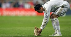 'Sports Balls replaced with Cats' is the best Tumblr you'll see today