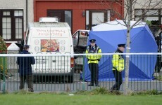 Renewed appeal over David Darcy murder after Rose Lynch conviction