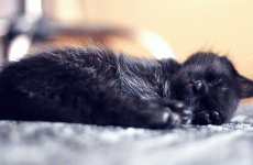 The DailyEdge.ie guide to going to sleep
