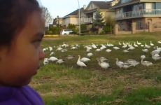 VIDEO: Our favourite little girl of the day