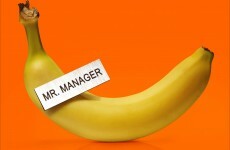 The new episodes of Arrested Development are nearly here