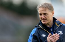 Joe Schmidt open to hearing what IRFU have to say on vacant Ireland job