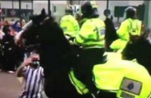 police horse punched by an idiot Newcastle fan is fine