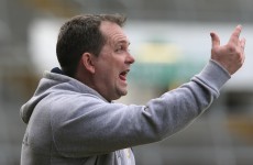 Davy Fitz calls for 10-team top tier in hurling league