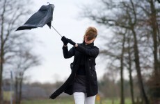Nearly 700 homes without power following overnight storms