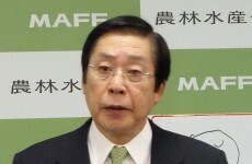 Japan wants international action against anti-whaling group